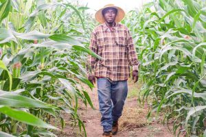 Mr. Fuseini Stephen Asangpe Awiniboya is a veteran farmer